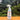 Detergent Anti Calcar Ecologic