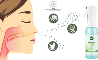 De la praf la alergeni - Cum purificăm aerului din interior