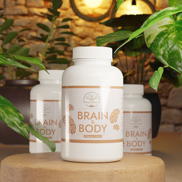 NATURAL HEALING Brain and Body Foundation
