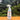 Detergent Anti Calcar Ecologic